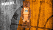 The Bear Mascot GIF by Basket_fi