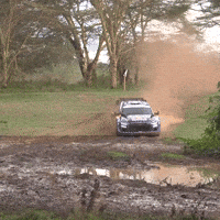 Sliding Ford GIF by FIA World Rally Championship