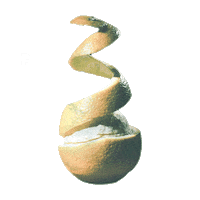 Dakota Johnson Tld Sticker by NETFLIX