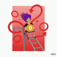 Roller Coaster Bitcoin GIF by World Of Women