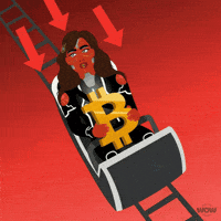 Roller Coaster Falling GIF by World Of Women