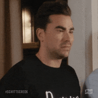 Pop Tv Comedy GIF by Schitt's Creek