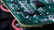 BintangChip  GIF