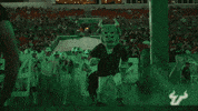 College Football GIF by USF Athletics