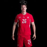 Fifa World Cup Switzerland GIF by Respective