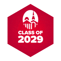 2029 Sticker by University Of Lynchburg