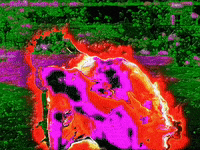 baby man GIF by MFD