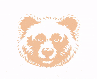 Columbus_cafe animal columbus ours columbuscafe GIF