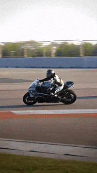 Scout GIF