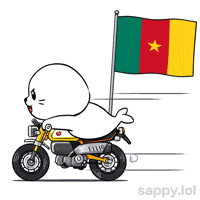 Lets Go Football GIF by Sappy Seals