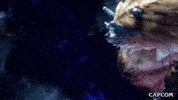 Video Game GIF by CAPCOM