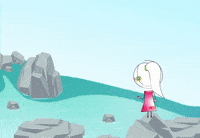 Fly Flying GIF