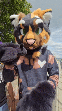 Paws GIF