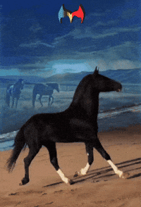 Amigos Querer GIF by Murcianys LLC