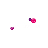Cheers Festival Sticker by Spitzenstadt Plauen