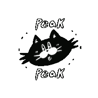 HOSA2 cat peak 고양이 캥거루클럽 Sticker