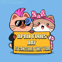 April Fools Cute Cat GIF by Silly Kitties