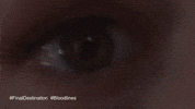Warner Bros Wb GIF by Warner Bros. Pictures