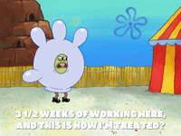 season 8 episode 20 GIF by SpongeBob SquarePants
