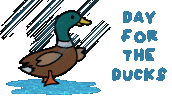 Rain Raining Sticker