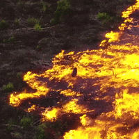 brazil wildfire rainforest amazon rainforest brazil forest fire GIF