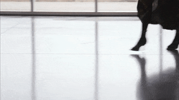 New York Fashion Week Proenza Schouler GIF by NYFW: The Shows