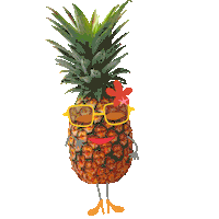AartsenKidsFoundation fruit pineapple ana ananas Sticker