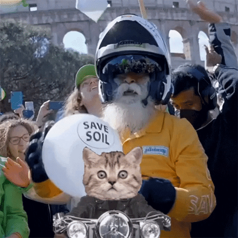 Happy Cat GIF by Conscious Planet - Save Soil