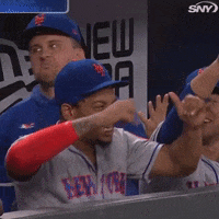 new york mets GIF by SNY