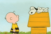 youre not elected charlie brown GIF by Peanuts