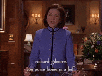 season 2 netflix GIF by Gilmore Girls 