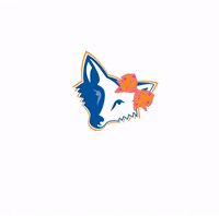 foresthillelementary fhes foresthillelementary GIF