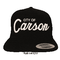 Carson Avalon Sticker by plugthecity