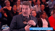 touche pas a mon poste dog GIF by C8