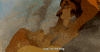 lion king disney GIF