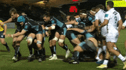 Rugby Try GIF by Glasgow Warriors