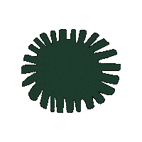 Sun Sol Sticker by Harts Natural