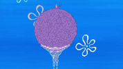season 9 it came from goo lagoon GIF by SpongeBob SquarePants