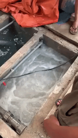VuDinhPhuong giphyupload GIF