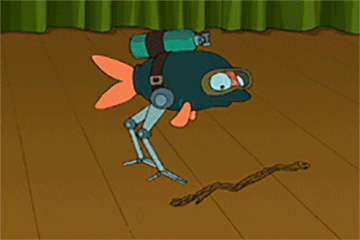 giphy.gif