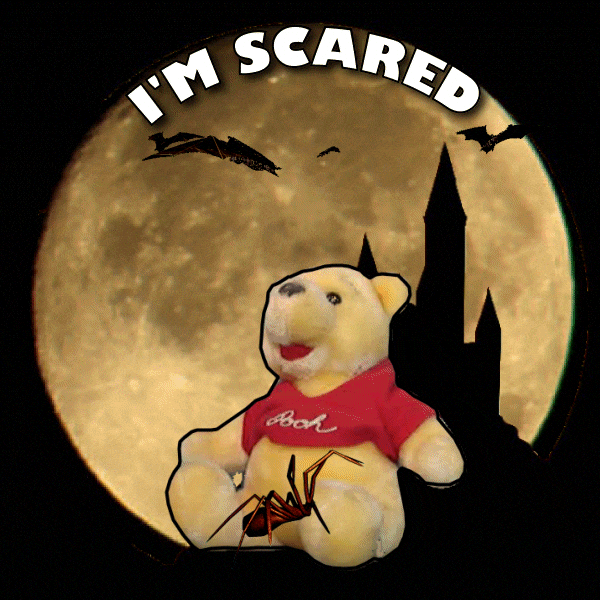 Im Scared Full Moon GIF