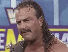 Jake The Snake Sport GIF by WWE