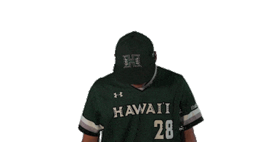 College Baseball Sticker by Hawaii Athletics