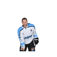 Sport Goal Sticker by IceFightersLeipzig