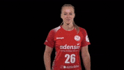 Hbf Falk GIF by Handball Bundesliga Frauen