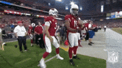 Arizona Cardinals Football GIF by NFL