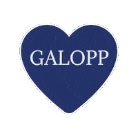 Horses Jockey Sticker by Svensk Galopp