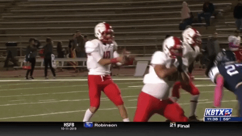 gocoogs  GIF