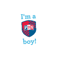 First Day Of School Sticker by PDSmemphis