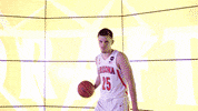 Wildcats GIF by Arizona Men's Basketball